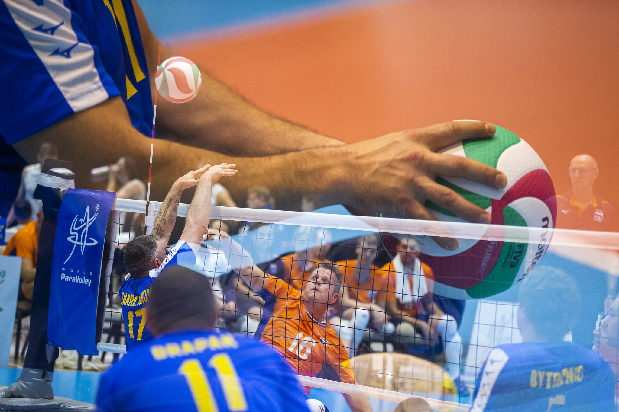Road To Paris 2024 Sitting Volleyball Qualification Process